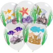 Tropical Fish Limited Edition 12