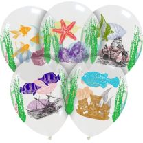Tropical Fish Limited Edition 12